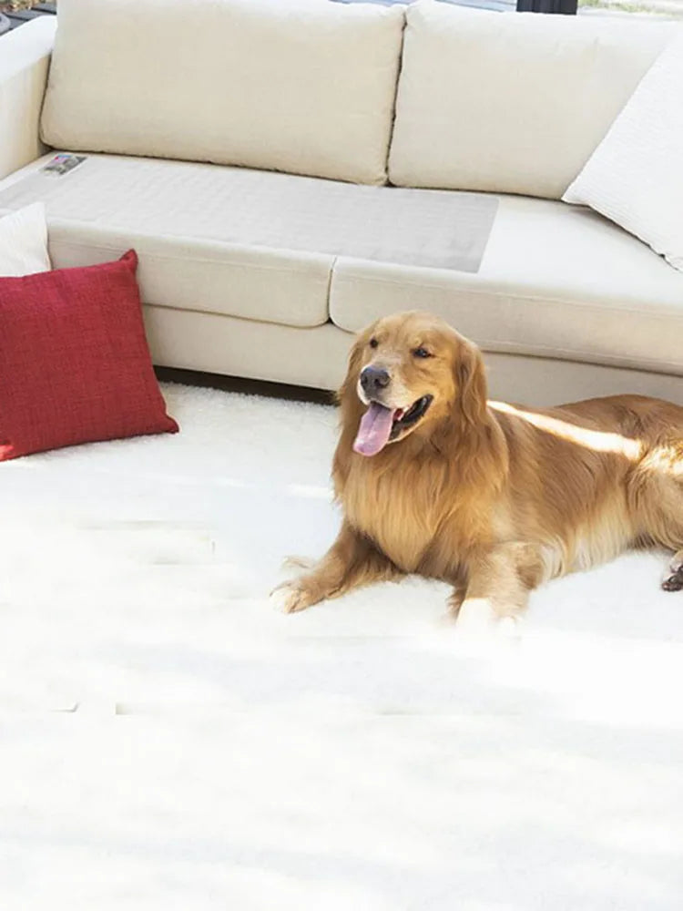Pet Training Mat Electrostatic Isolation Blanket Cat Dog Repellent Mat Prevent Pets Damage Protected Areas Pet Barrier Mat