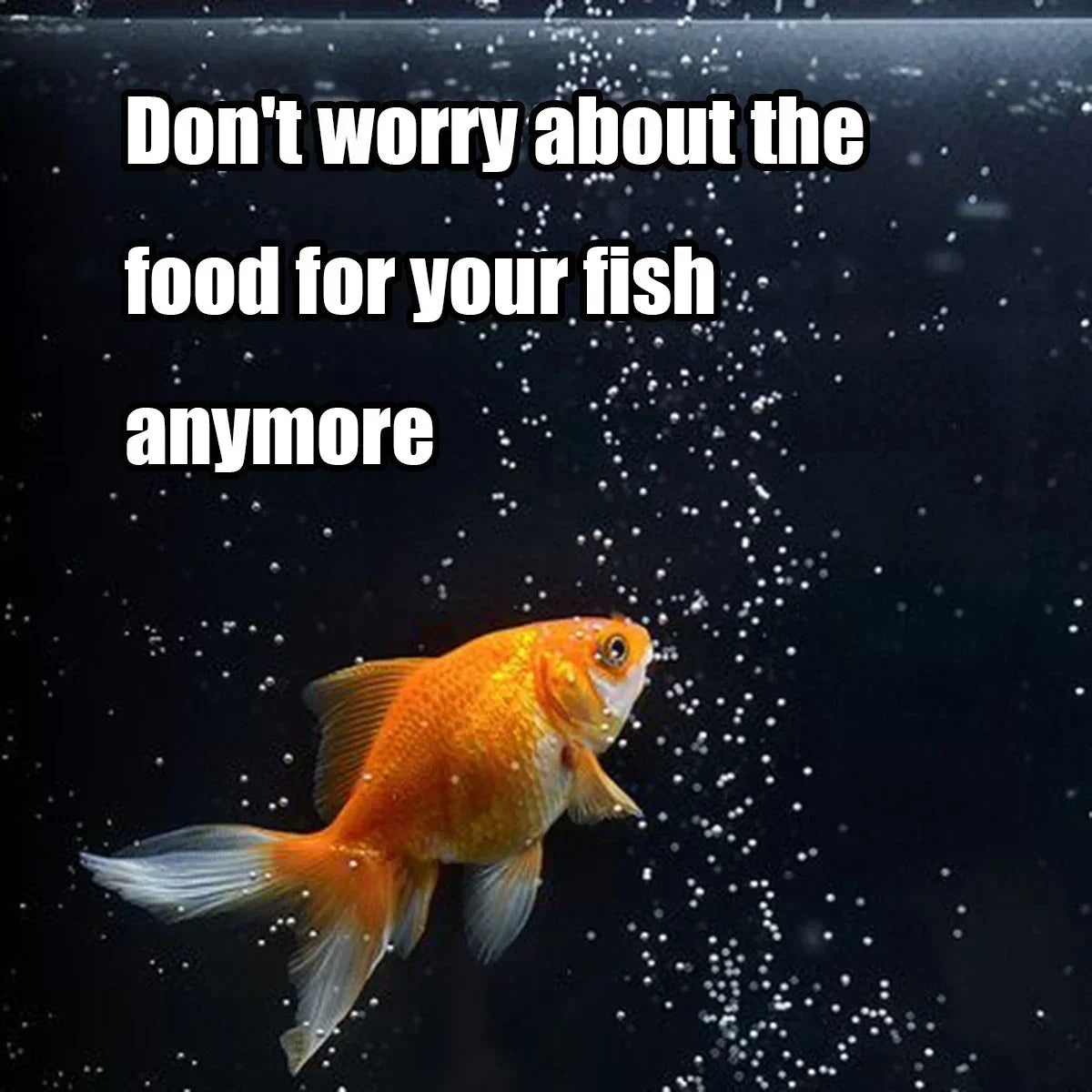 100ml Digital Automatic Fish Feeder Programmable Aquarium Food Dispenser with Timer IP66 Waterproof for Pond Turtle Tanks