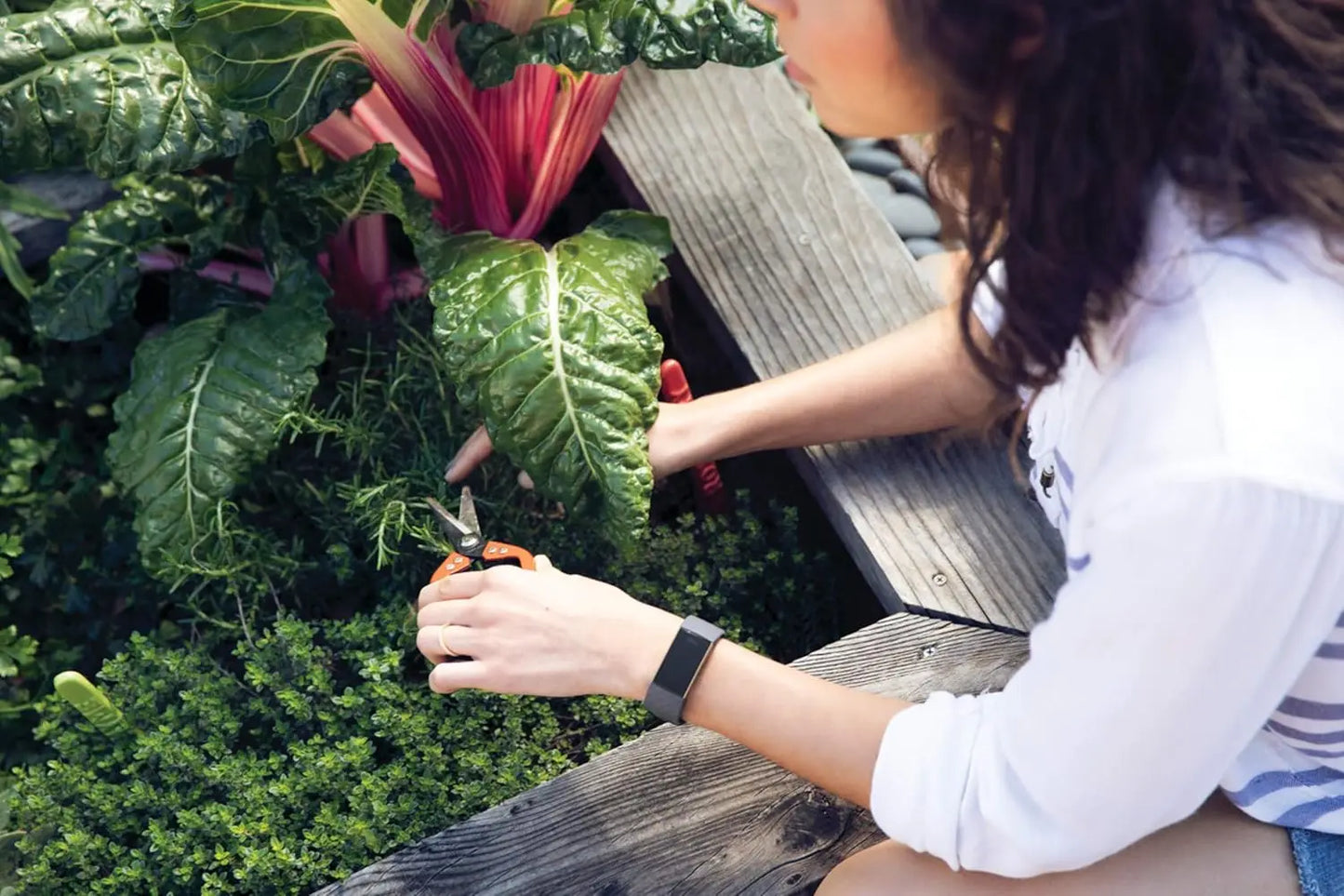 Fitbit Charge 3 Fitness Tracker Smart Watch Heart Rate Monitor Sleep Steps Exercise Waterproof Band for Men Women Health Sports