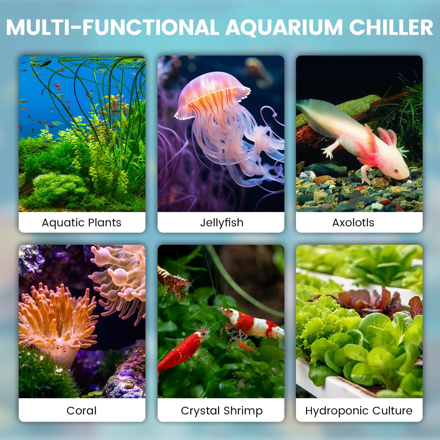 1/2 HP Aquarium Water Chiller 132 Gallon Fish Tank Ice Bath Chiller for Cold Plunge Hydroponics Fish Tank Temperature Control