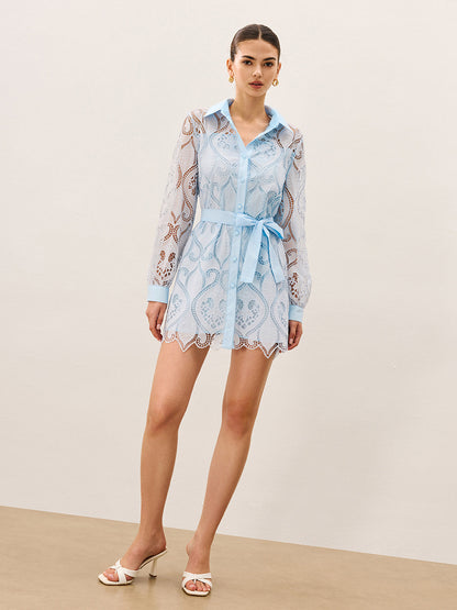 2 in 1 Sheer Lace Mini Dress