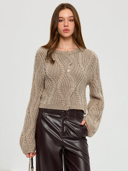 Wool Blend Cable Knit Cardigan