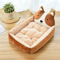 Brown Akita