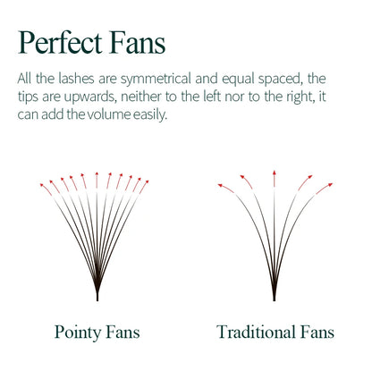 SONG LASHES 3D to 16D Fans Sharp Slim Narrow Stem Premade Volume Fans Loose Thin Pointy Base Russia Volume Eyelashes Extensions