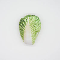 Cabbage
