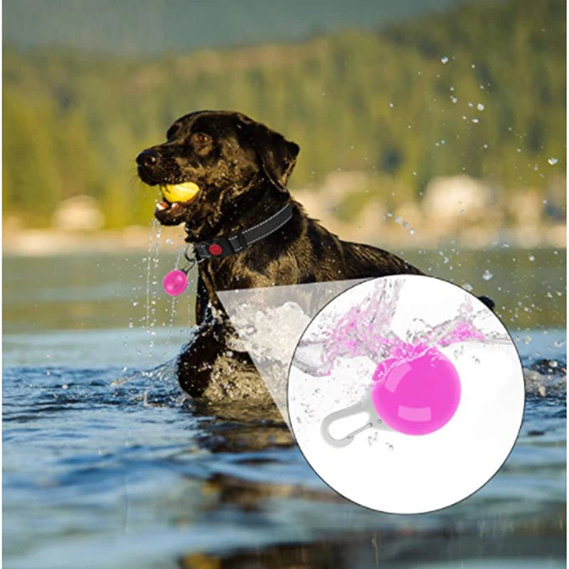 LED Glowing Pendant Flashlight Dog Cat Collar Pet Leads Glow  Accessories  Bright Necklace Luminous Collar  Night Safety Decor