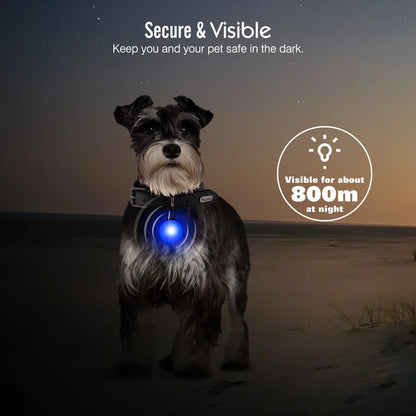 LED Glowing Pendant Flashlight Dog Cat Collar Pet Leads Glow  Accessories  Bright Necklace Luminous Collar  Night Safety Decor