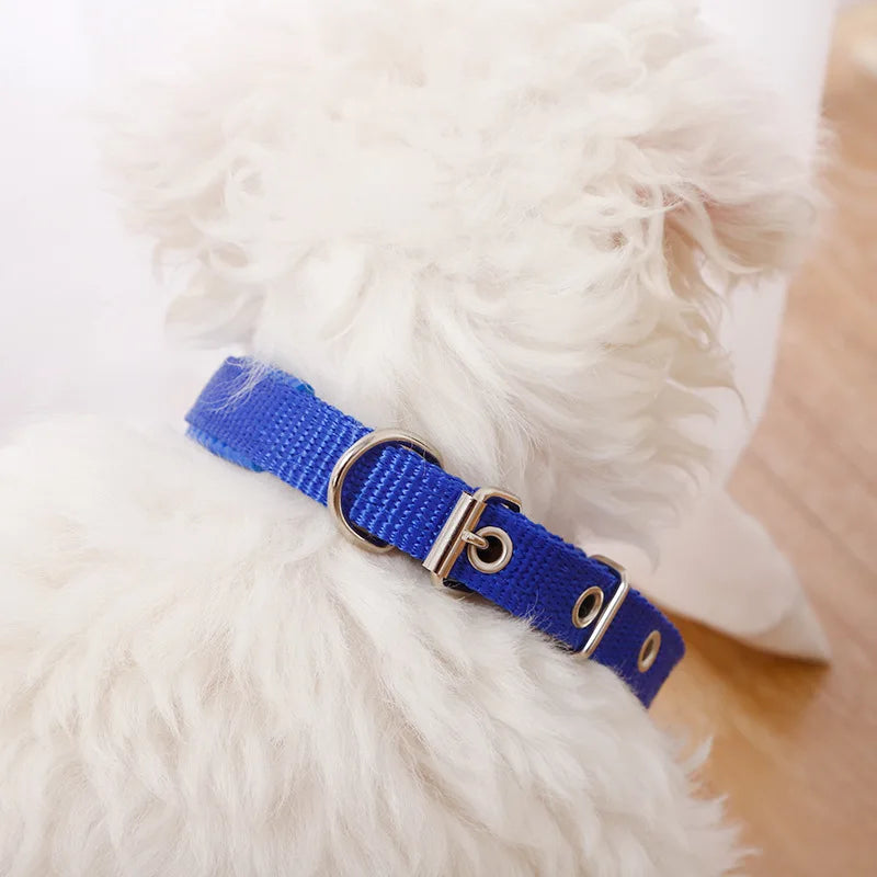 Adjustable Nylon Pet Dog Collar for Small Large Dogs Sturdy Puppy Big Dog Collars Pitbull Pug Products for Pets Honden Halsband