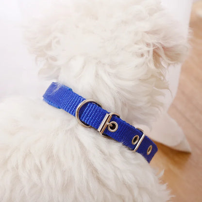 Adjustable Nylon Pet Dog Collar for Small Large Dogs Sturdy Puppy Big Dog Collars Pitbull Pug Products for Pets Honden Halsband