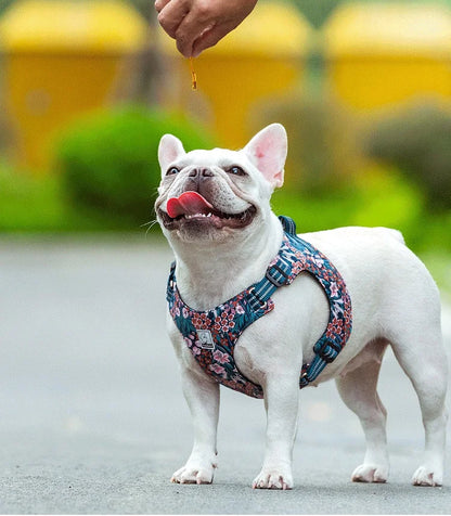 Truelove Pet Harness Floral Floral Doggy Harness Dog Vest Type Dog Walking Chain Small Medium Puppy Cat Printed Cotton TLH1912
