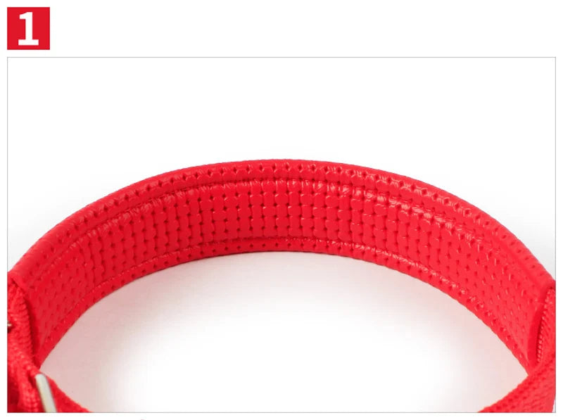 Adjustable Nylon Pet Dog Collar for Small Large Dogs Sturdy Puppy Big Dog Collars Pitbull Pug Products for Pets Honden Halsband