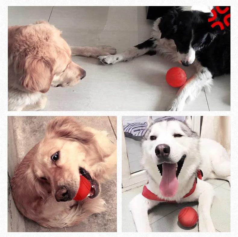 HOOPET Dog Toy Rubber Ball Bite-resistant Ball Toy for Dogs Puppy Teddy Pitbull Red Color Solid Ball S-XL Pet Supplies