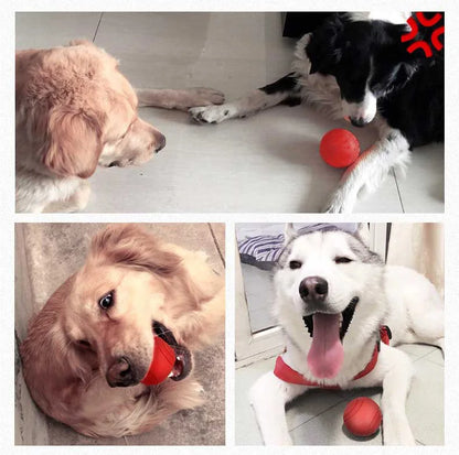 HOOPET Dog Toy Rubber Ball Bite-resistant Ball Toy for Dogs Puppy Teddy Pitbull Red Color Solid Ball S-XL Pet Supplies