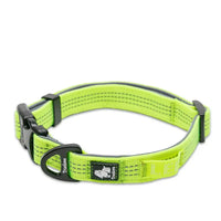 Neon Yellow