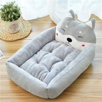 Gray Akita