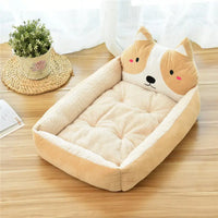 Beige Akita