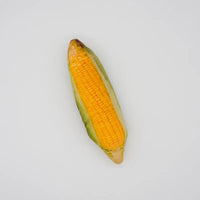 Corn