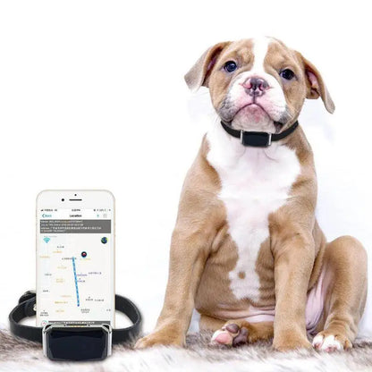 IP67 Waterproof Pet Collar Wifi Light GPS Tracker For Pets Dogs GPS Tracker Kids Personal Locator Anti-Lost Tracking Device