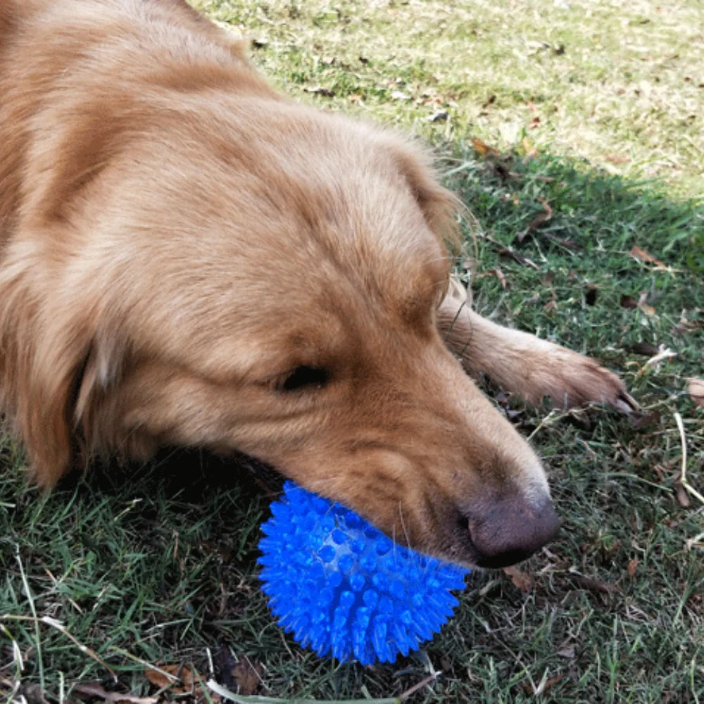 Bite Resistant Pet Chew Ball Toys for Small Large Dogs Elastic Buoyant Squeaky Puppy Big Dog Toy Border Shepherd Collie Supplies