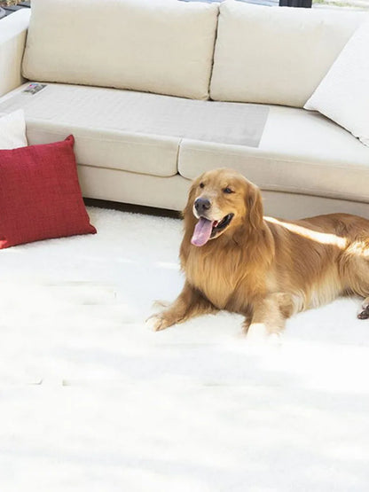 Pet Training Mat Electrostatic Isolation Blanket Cat Dog Repellent Mat  Prevent Pets Damage Protected Areas Pet Barrier Mat