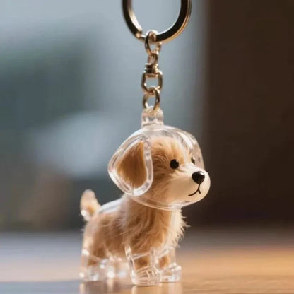 Dog Hair Storage Box Puppy Hair Memorial Keepsake Capsule Pet's Dog/Cat Fur Container Transparent Capsule Keychain Souvenirs
