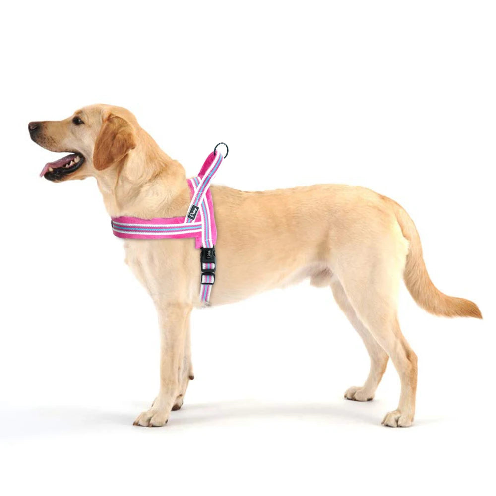 Warm Dog Harness Vest Winter Dog Harnesses Soft Padded Pet Training Harnesses Vests Adjustable For Small Large Dogs Bulldog Pug