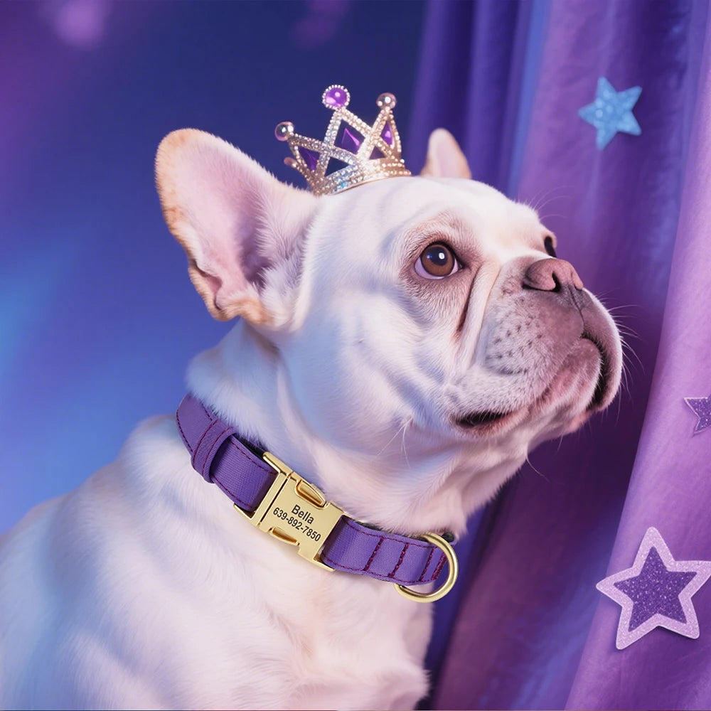 8 Colors Nylon Dog Collar Personalized Dog Collars Colorful Custom Pet ID Collars Necklace Breathable for Small Medium Dogs Pug