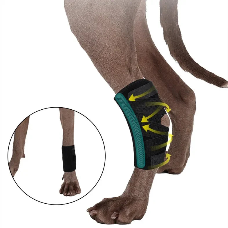 Updated Protects Bandage Dog Arthritis Protector Cover Dog Leg Support Dogs Hock Joint Brace Pet Knee Pads Dogs Injury Recovery