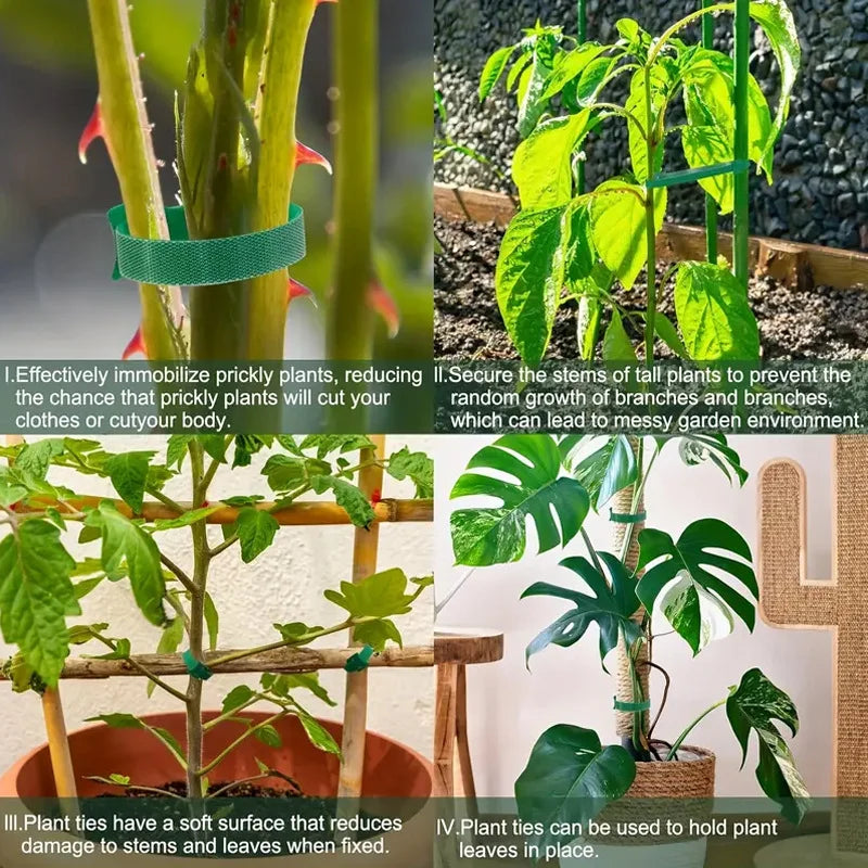 100PCS Velcro zip ties, plant ties, non slip garden ties, suitable for gardening, home decor, etc