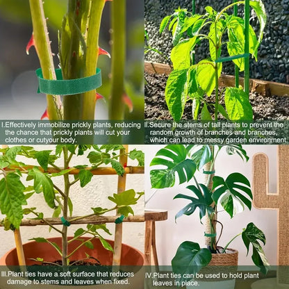 100PCS Velcro zip ties, plant ties, non slip garden ties, suitable for gardening, home decor, etc