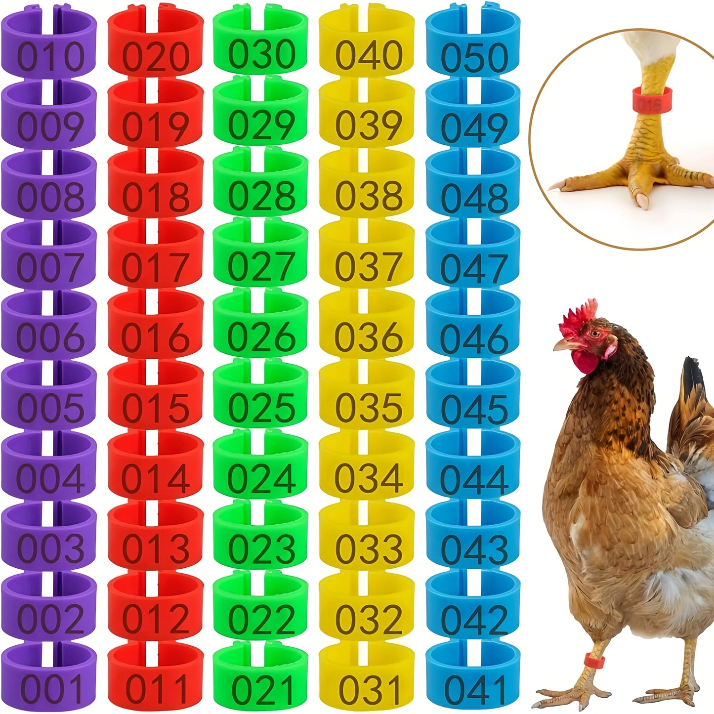 Farm Tag Rings, Chicken Leg Bands with Number Identification Hens Roosters, Poultry Foot Tags Breeding Chickens, Ducks, Geese