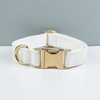 Dog collar38