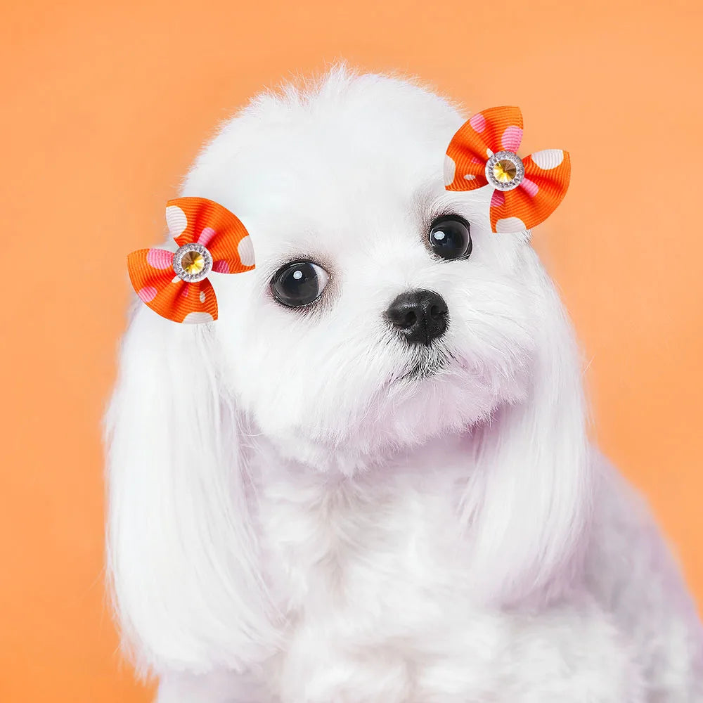 20pcs Dog Hair Bows Dog Bows with Diamond Colorful Grooming Rubber Band for Small Dog Pet Girls Grooming Hair Accessories