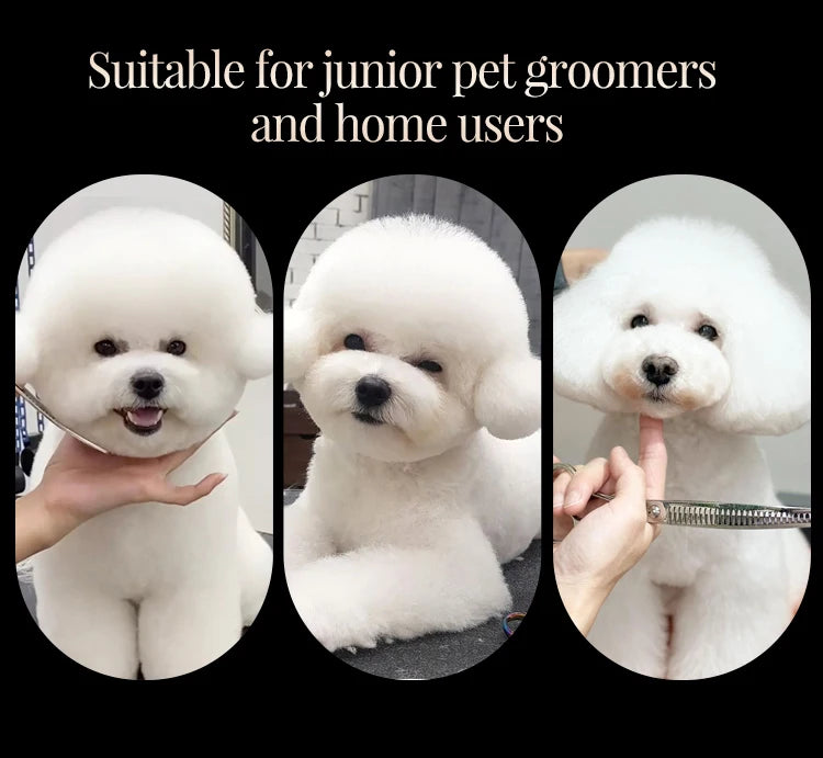 Fenice 6//6.5/7/7.5 Inch Professional Pet Dogs Grooming Scissors Set Straight&Curved &Thinner&Chunker Shear Scissors