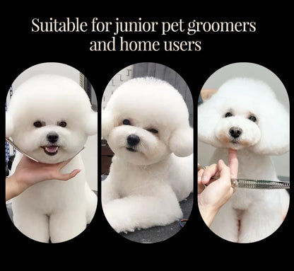 Fenice 6//6.5/7/7.5 Inch Professional Pet Dogs Grooming Scissors Set Straight&Curved &Thinner&Chunker Shear Scissors