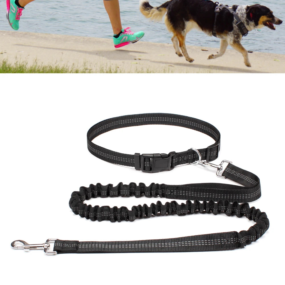 Hand Free Dog Leash for Pet Walking Running Jogging Adjustable Dog Leash Waist Belt Chest Strap Traction Rope Dog Accessories