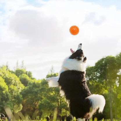 Pet Dog Toys Cat Puppy Sounding Toy Polka Squeaky Tooth Cleaning Ball TPR Training Teeth Chewing Toy Thorn Balls Pet Accessories