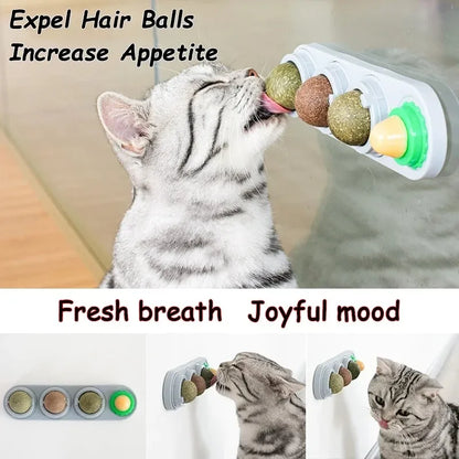 4 in 1 Rotating Catnip Silver Vine Ball Teeth Cleaning Acne Prevention Digestive Health Wall Stick on Toy Edible Safe Material