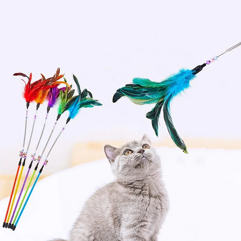 Cat Toy Feather Cats Sticks Teaser Cat Toys Interactive Spring Handle Kitten Toys with Bell Training Cats Stick Toy Pet Supplies