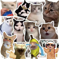 50pcs  random