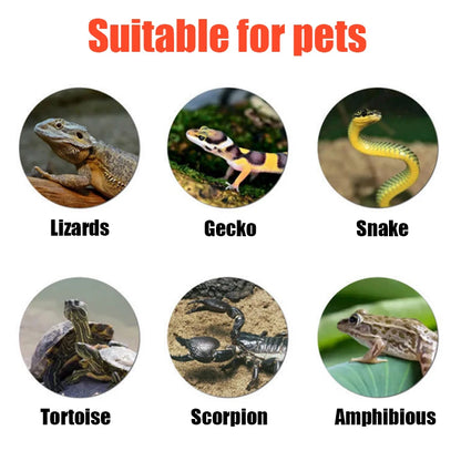 Reptile Heating Pad Spider Scorpion Palace Guarding Pet Snake Lizard Hedgehog Hamster Crawling Pet Insulation Pad