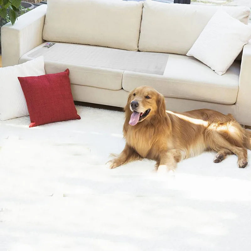 Pet Training Mat Electrostatic Isolation Blanket Cat Dog Repellent Mat  Prevent Pets Damage Protected Areas Pet Barrier Mat