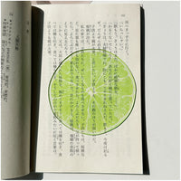 Lime bookmark