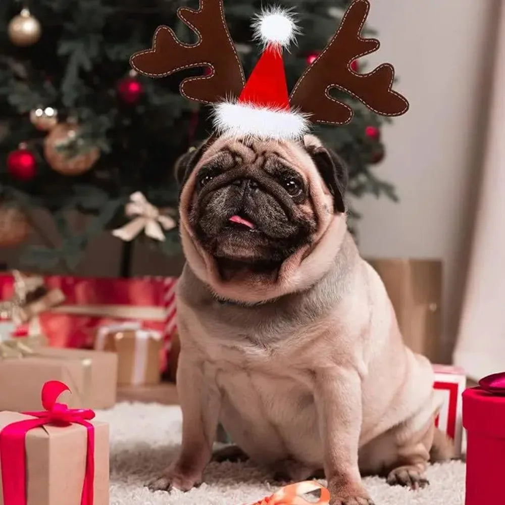 Christmas Decoration Pet Headwear Party Dress Up Antlers Hair Hoops Pet Supplies Christmas Hat Headbands Dog Elk Hair Hoops