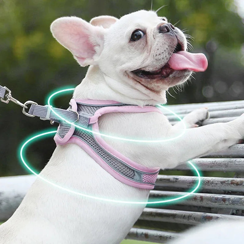 Soft mesh dog chest strap, suitable for training walks, adjustable dog vest, suitable for small and medium-sized dogs and cats
