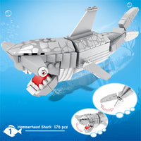 Shark Blocks