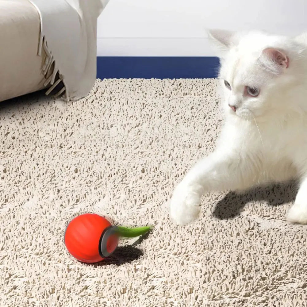 Speedy Tail 2.0 Cat Toys Generation Interactive Toy Ball For Cat 2 Speed Adjustment Automatic Moving Ball with Replacement Tail