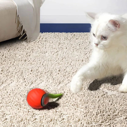 Speedy Tail 2.0 Cat Toys Generation Interactive Toy Ball For Cat 2 Speed Adjustment Automatic Moving Ball with Replacement Tail