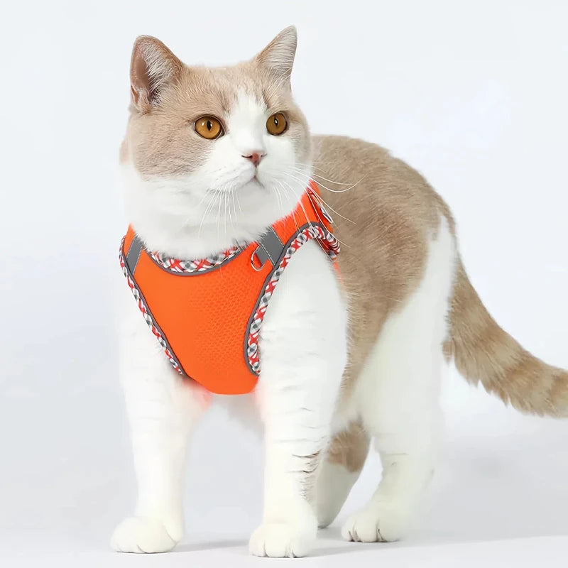 Pet Dog Harness and Leash Set for Small Medium Dogs Outdoor Walking Reflective Cat Vest Harness Chihuahua Yorkie Pet Supplies