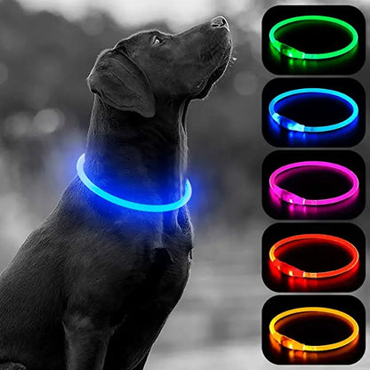 USB Charging Necklace Led Luminous Dog Collar Light , Flashing DIY Glowing Safety Anti Lost Cat Dogs Collar Accessories Supplies